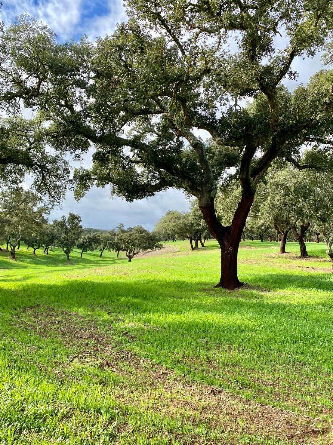 Patio Dos 8 - Alentejo Holiday home