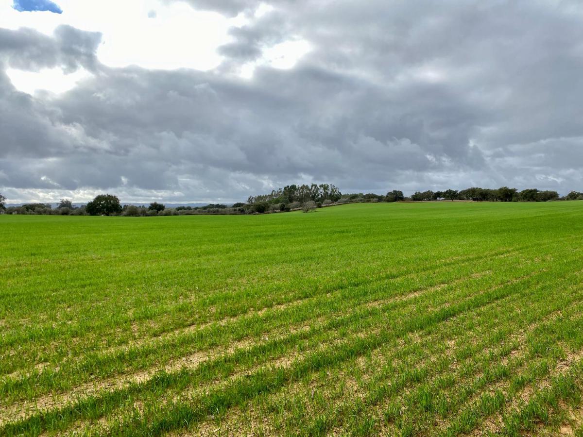 Patio Dos 8 - Alentejo Holiday home