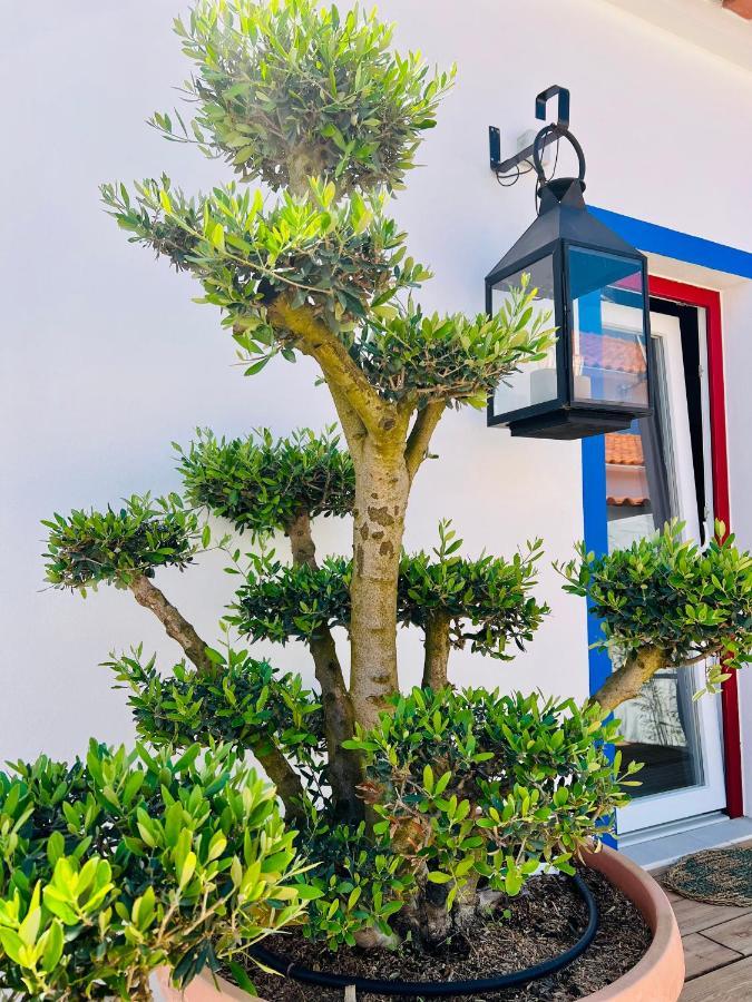 Patio Dos 8 - Alentejo Holiday home